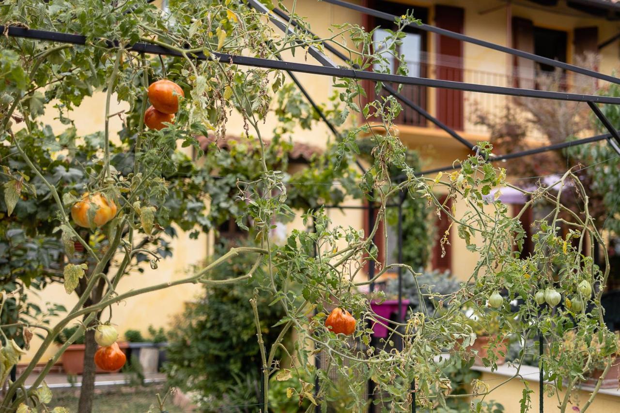 La Valle B&B Asti Ngoại thất bức ảnh